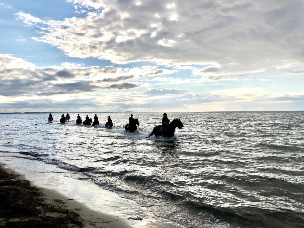 Haus Zwischen Muehle Und Meer Boiensdorf Esterno foto
